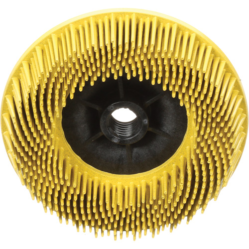 Disques radiaux bristle pour meuleuses angulaires Scotch-Brite, C&eacute;ramique, Grain 80, 4-1/2" dia. Dufferin Supply