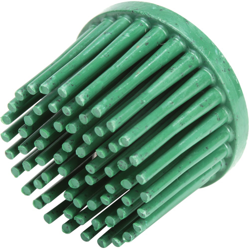 Disques bristle Roloc, C&eacute;ramique, Grain 50, 1" dia. Dufferin Supply