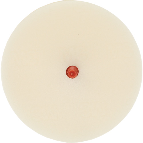 Disque pour enlever les bandes et les adh&eacute;sifs pour moulures Scotch-Brite, 4" dia. Dufferin Supply