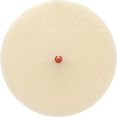 Disque Scotch-Brite 7502 pour retrait de colle et de bandes de moulage, 6" dia. Dufferin Supply