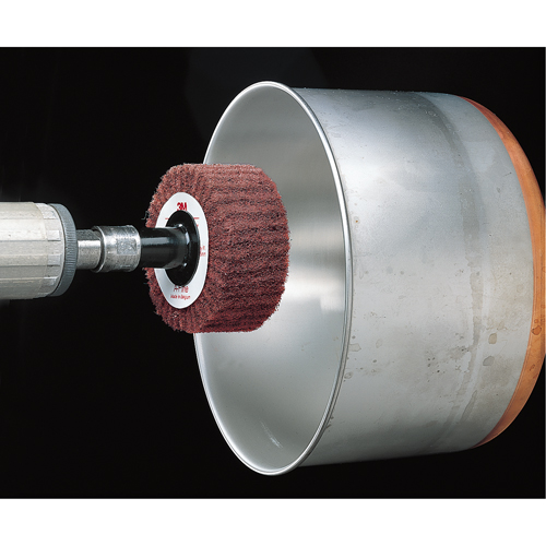 Brosses &agrave; lamelles Scotch-Brite Dufferin Supply