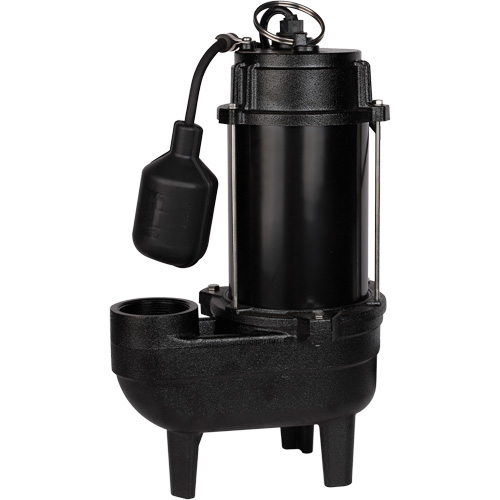 Pompe d'&eacute;gout en fonte, 120 V, 10 A, 6400 gal./h, 3/4 CV Dufferin Supply