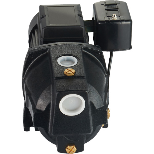 Dual Voltage Cast Iron Shallow Well Jet Pump, 115 V/230 V, 1100 GPH, 1 HP Dufferin Supply