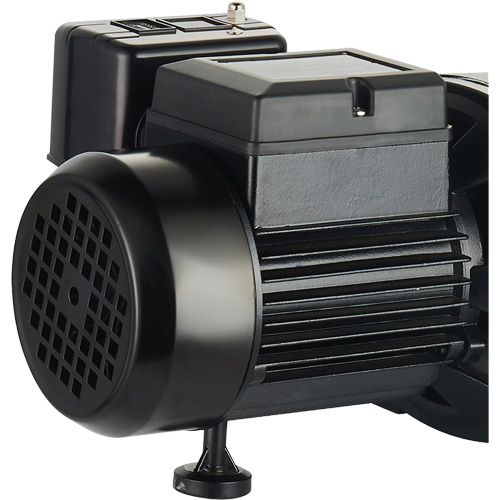 Dual Voltage Cast Iron Shallow Well Jet Pump, 115 V/230 V, 1100 GPH, 1 HP Dufferin Supply
