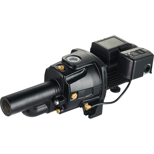 Dual Voltage Cast Iron Convertible Jet Pump, 115 V/230 V, 1100 GPH, 1/2 HP Dufferin Supply