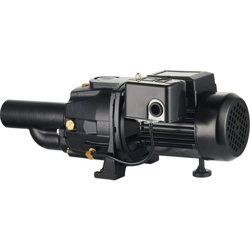 Dual Voltage Cast Iron Convertible Jet Pump, 115 V/230 V, 1100 GPH, 1/2 HP Dufferin Supply