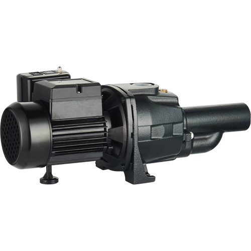 Dual Voltage Cast Iron Convertible Jet Pump, 115 V/230 V, 1100 GPH, 1/2 HP Dufferin Supply