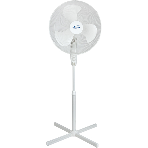 Oscillating Pedestal Fan, Commercial, 3 Speed, 18" Diameter Dufferin Supply