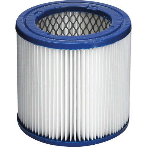 Filtre pour aspirateur les cendres ultra-fines CleanStream, Cartouche/Hepa Dufferin Supply