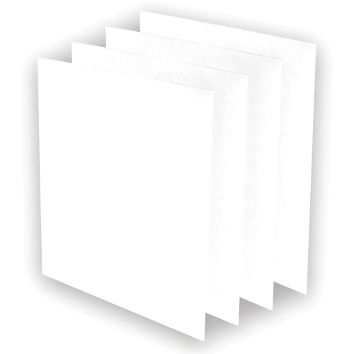 Pr&eacute;-filtres AeraMax Pro AM3 ou AM4, 13,75" la x 0,13" p x 14,38" h Dufferin Supply