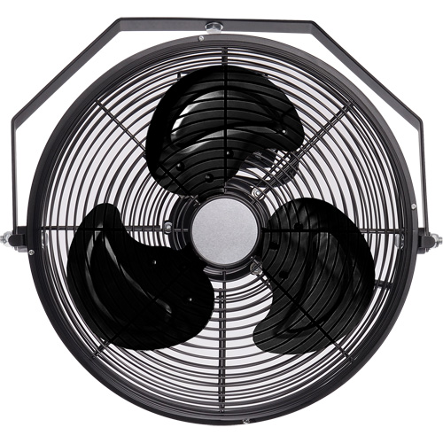 Industrial Workstation Fan, Industrial, 3 Speed, 12" Diameter Dufferin Supply