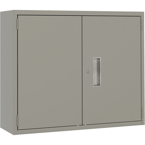 Armoire murale, Acier, 2 Tablettes, 30" h x 36" la x 12" P, Gris Dufferin Supply