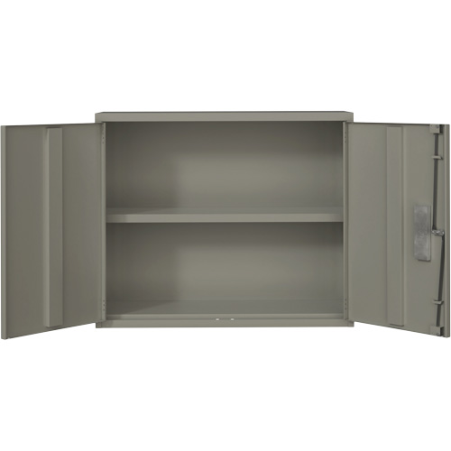 Armoire murale, Acier, 2 Tablettes, 30" h x 36" la x 12" P, Gris Dufferin Supply