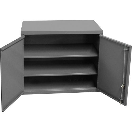Wall-Mounted Cabinet, 27" H x 13-11/16" W x 35-7/8" D, 2 Shelves, Steel, Grey Dufferin Supply