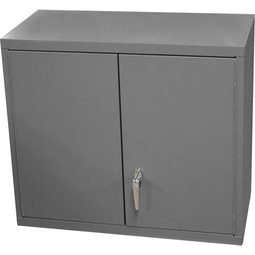 Wall-Mounted Cabinet, 27" H x 13-11/16" W x 35-7/8" D, 2 Shelves, Steel, Grey Dufferin Supply