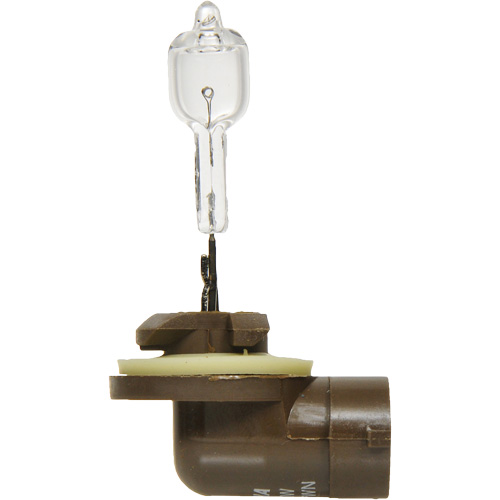 886 Basic Fog Light Bulb, Halogen, 50 W, Off White Dufferin Supply