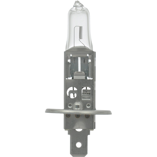 64155 Basic Automotive Bulb, Halogen, 78 W, Off White Dufferin Supply