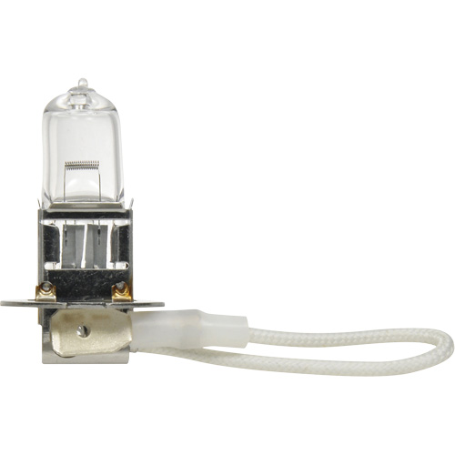 Ampoule de base pour feu avant H3, Halog&egrave;ne, 45 W, Blanc cass&eacute; Dufferin Supply