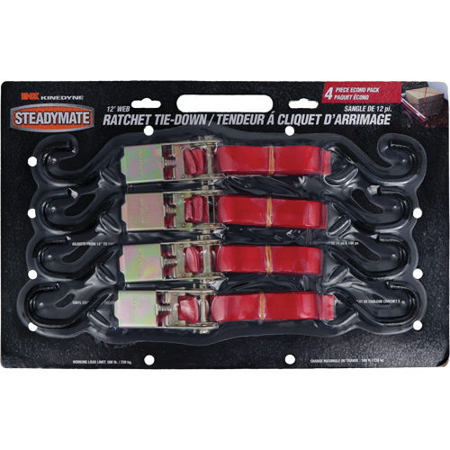 Tendeurs d'arrimage &agrave; cliquet, Crochet en S, 1" , 12' , Charge d'utilisation max. 500 lb (230 kg) Dufferin Supply