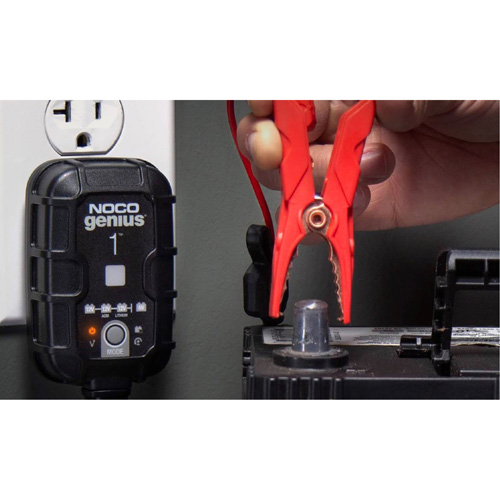 Chargeur de batterie 1 A Genius 1 Dufferin Supply