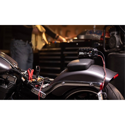 Chargeur de batterie 10 A Genius 10 Dufferin Supply