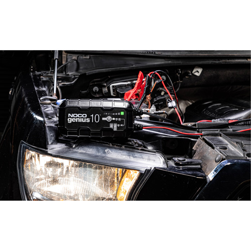 Chargeur de batterie 10 A Genius 10 Dufferin Supply