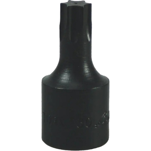 Embout Torx&reg; T-50 Dufferin Supply