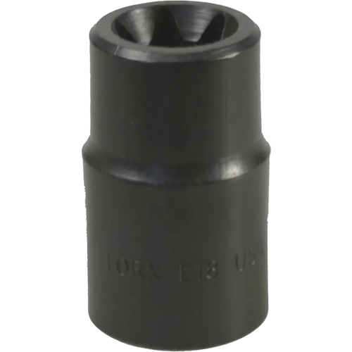 Douille Torx&reg; E-18 Dufferin Supply