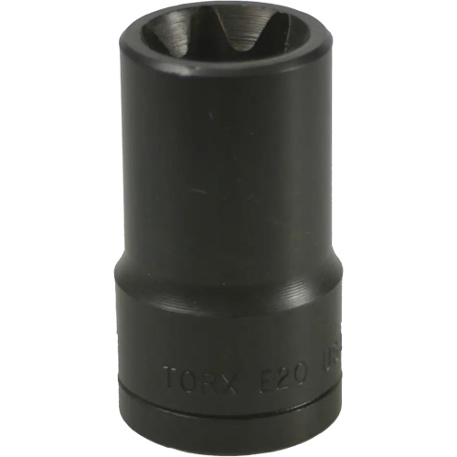 Douille Torx&reg; E-20 Dufferin Supply