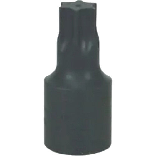 Grand embout Torx&reg; T-70 Dufferin Supply