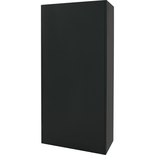 Combination Storage Cabinet, 36" W x 18" D x 72" H, Black Dufferin Supply