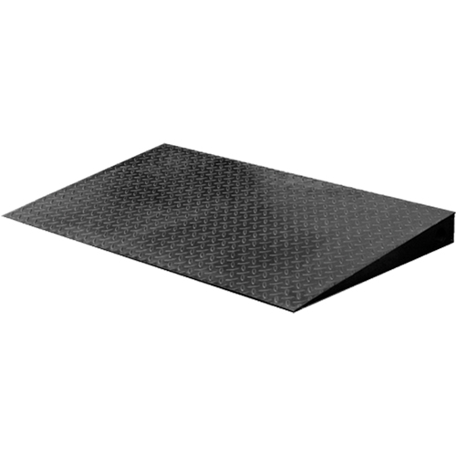 VN Series Economical Floor Scales - Ramp Dufferin Supply
