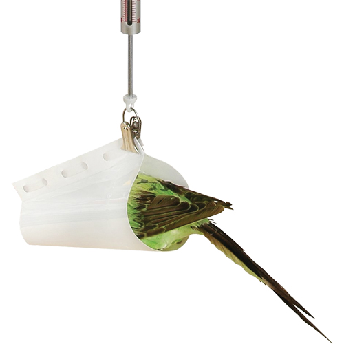 Micro Spring Scale Accessory - Bird Weighing Cone Dufferin Supply