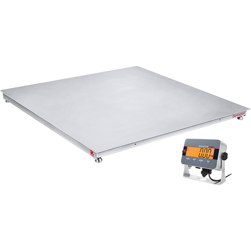 DEFENDER 3000 Washdown Floor Scale, 2500 lbs. Capacity, 36" W x 36" L Dufferin Supply