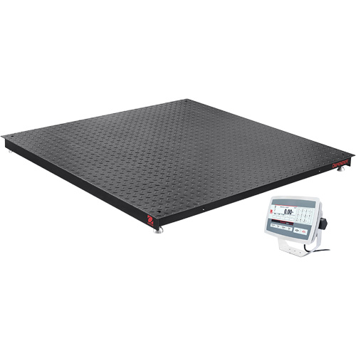 DEFENDER 5000 Floor Scale, 5000 lbs. Capacity, 48" W x 48" L Dufferin Supply