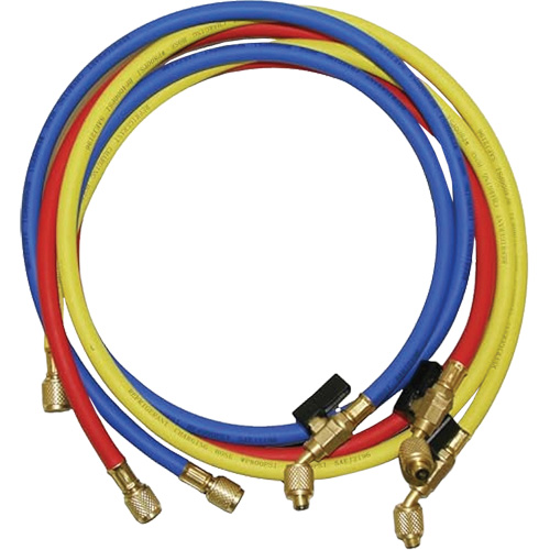 Tuyaux de charge de r&eacute;frig&eacute;rant avec robinet &agrave; boisseau et raccords SAE 1/4" Dufferin Supply