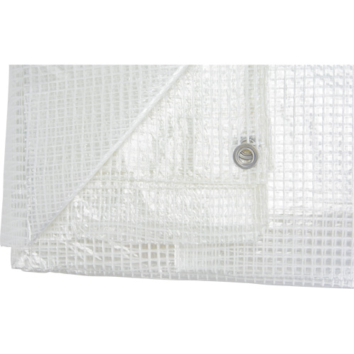 Clear Tarp, 12' x 10' x 8 mils Dufferin Supply