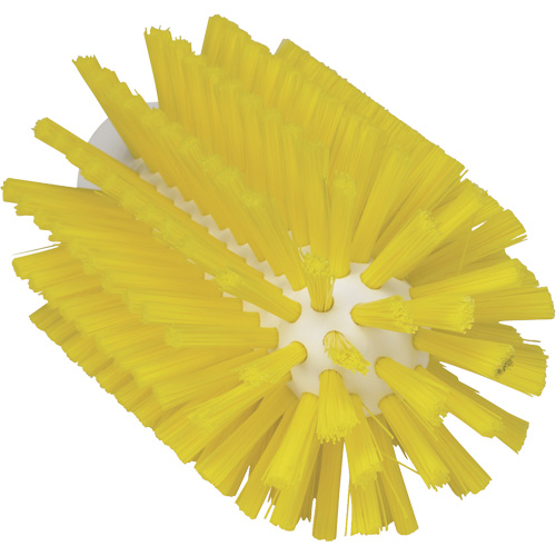 Brosse pour l'hygi&egrave;ne des aliments, Soies Moyen, Longueur de 6", Jaune Dufferin Supply