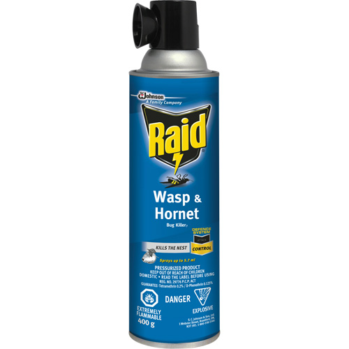 Raid&reg; Wasp & Hornet Bug Killer, 400 g, Solvent Base Dufferin Supply