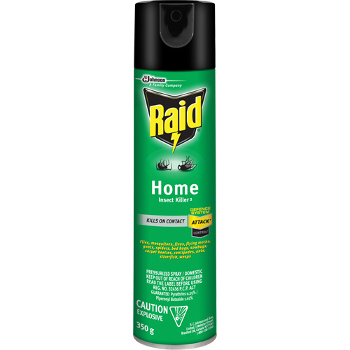 Insecticide pour insectes domestiques Raid, 350 g, &agrave; base de solvant Dufferin Supply