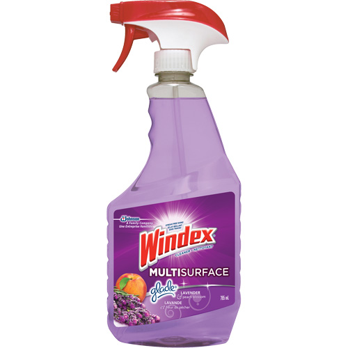 Nettoyant multi-surfaces de Windex, 765 ml, Bouteille &agrave; g&acirc;chette Dufferin Supply