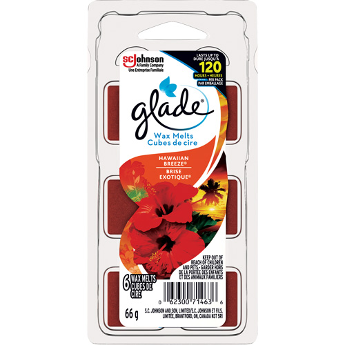 Cubes de cire parfum&eacute;e Glade, Brise exotique Dufferin Supply