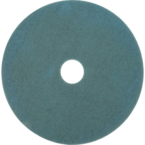 Tampon pour planchers, 17", Brunissage, Aqua Dufferin Supply