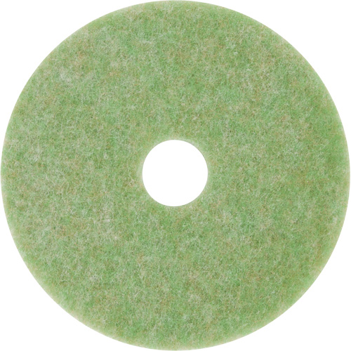 Tampon de m&eacute;lange naturel, 12", &agrave; r&eacute;curer, Vert Dufferin Supply
