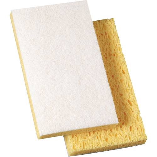Scotch-Brite Light Duty Scrub Sponge, 3-3/5" L x 6" W Dufferin Supply