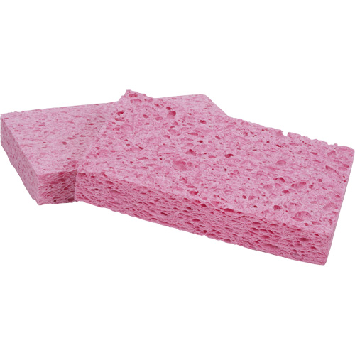 &eacute;ponge Scotch-Brite, Cellulose/Coulis/&agrave; r&eacute;curer, 3-2/3" la x 6" l Dufferin Supply