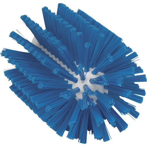 Grande brosse, Soies Moyen, Longueur de 6", Bleu Dufferin Supply