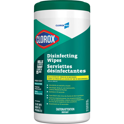 Disinfecting Wipes, 75 Count Dufferin Supply