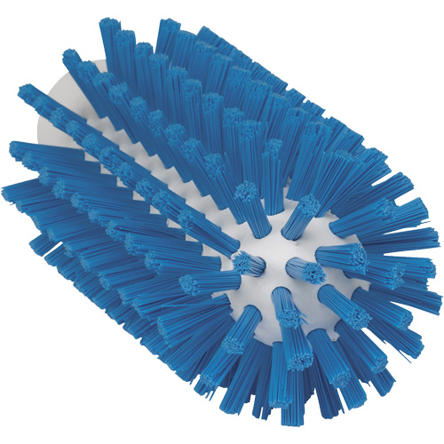 2.5" Brush, Stiff Bristles, 5-3/5" Long, Blue Dufferin Supply