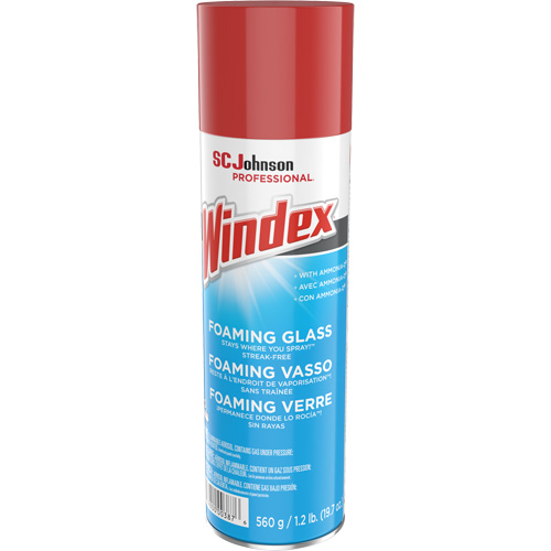 Nettoyant moussant pour vitres Windex, 560 g, Canette a&eacute;rosol Dufferin Supply